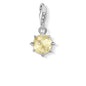 Thomas Sabo Charm Pendant Birth Stone November