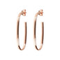 Bronzallure Semioval Earrings